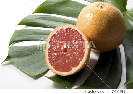 Monstera and grapefruit Monstera and grapefruit 24739963