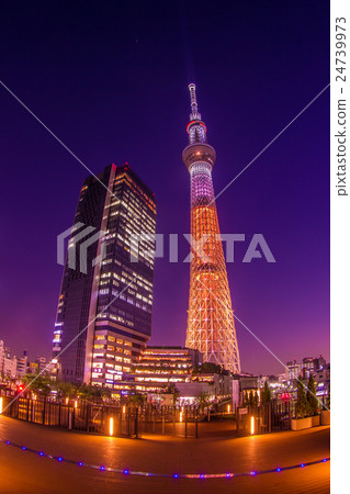 東京天空樹“光彩奪目” 24739973