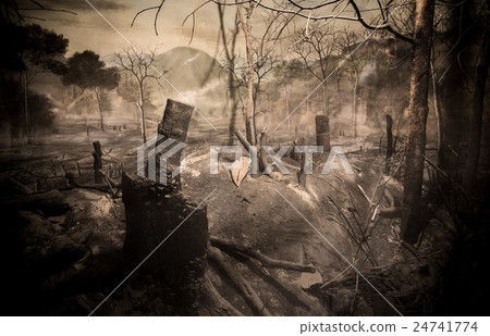 .Forest fires, Deforestation,chopping wood 24741774