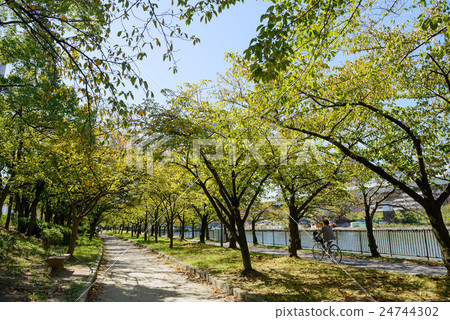 Furuma Sakuranomiya Park Furuma Sakuranomiya Park 24744302