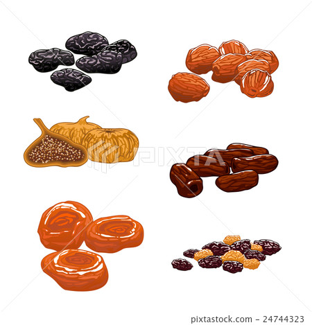 Dried Fruits set. Isolated vector icons 24744323