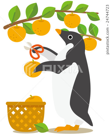 Adelie penguin days from summer to autumn Pear hunting season 24744723