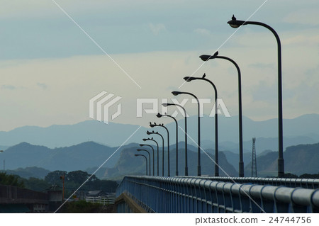 Pedestrian walkway street light crossing thought river Pedestrian walkway street light crossing thought river 24744756