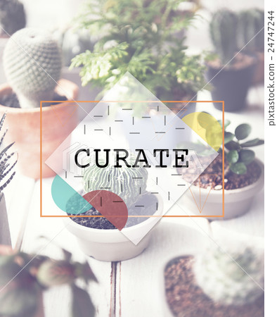 Curate Ideas Imagination Inspiration Skills Concept 24747244