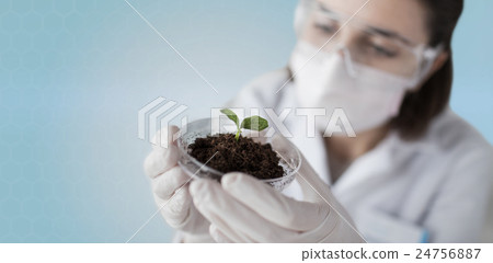 close up of scientist with plant and soil 24756887