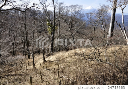 富士山在深秋山區和初冬 24758663