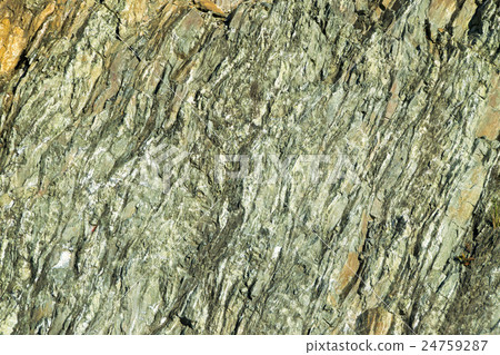 Section of the formation 24759287