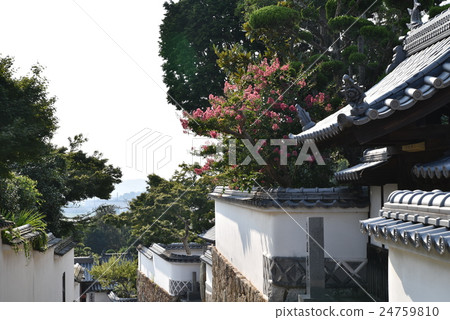 [Chugoku 33 Kannon Sacred Ground] No. 2 Summer scenery of the tower of Yokeiji Temple Setouchi City, Okayama Prefecture 24759810