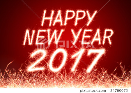 2017 2017 24760073
