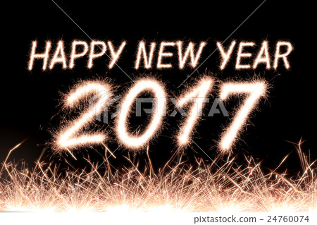 2017 2017 24760074