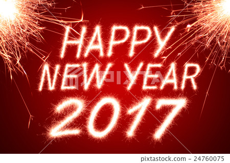 2017 2017 24760075