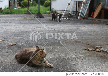 孩子們關心...... 24760486