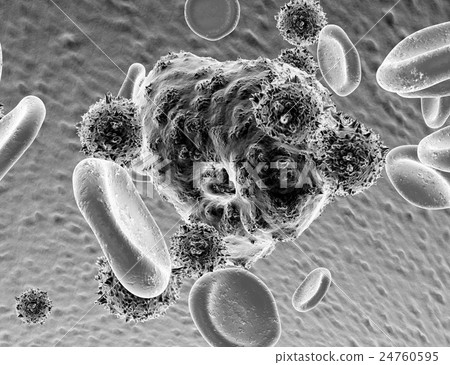 NK cells and cancer cells, erythrocytes - Stock Illustration [24760595 ...