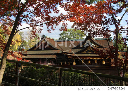 Autumn leaves of Kitano Tenman-gu Shrine 24760804