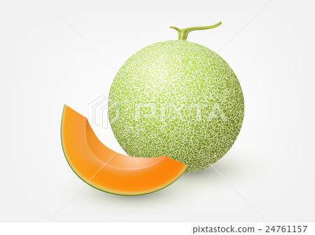 Cantaloupe melon, fruit vector illustration Cantaloupe melon, fruit vector illustration 24761157