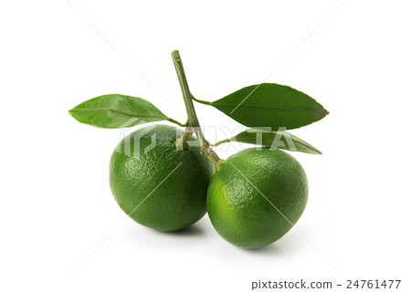 Mandarin orange  24761477