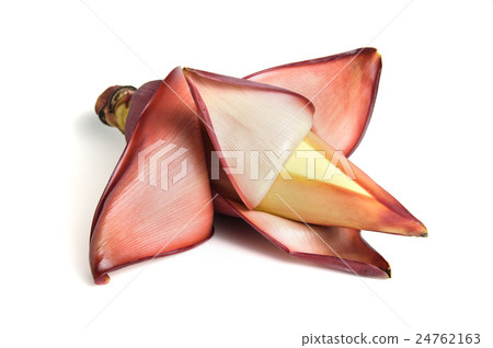 Banana blossom, banana bud 24762163