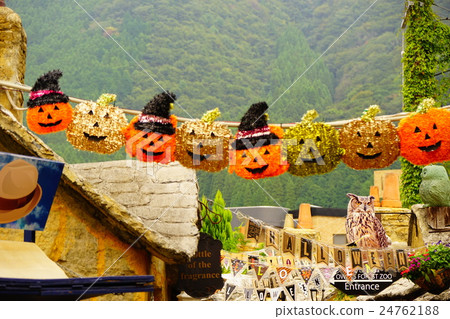 Floral Village 24762188