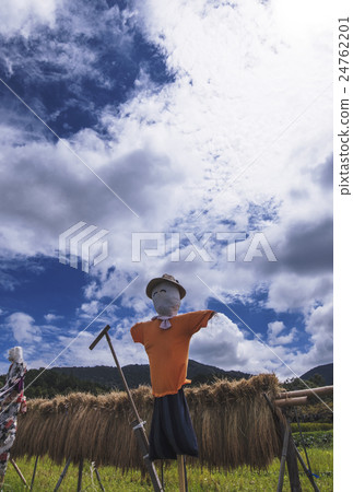 稻草人 24762201
