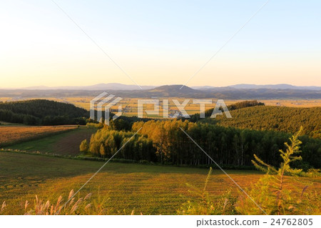 Dusk countryside in the evening. 24762805