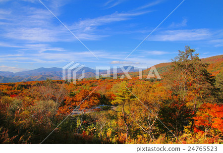 Fall Mother-forming Green Line Fall Mother-forming Green Line 24765523