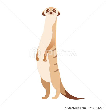 Cartoon Happy Meerkat - 스톡일러스트 [24765650] - Pixta