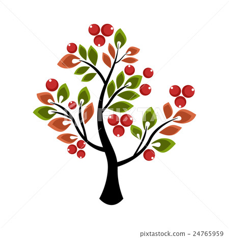 Tree growing berries and leaves Tree growing berries and leaves 24765959