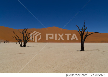 Dead Vlei Dead Vlei 24765975