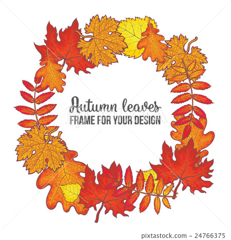 Round frame with fall leaves - maple, oak, rowan Round frame with fall leaves - maple, oak, rowan 24766375