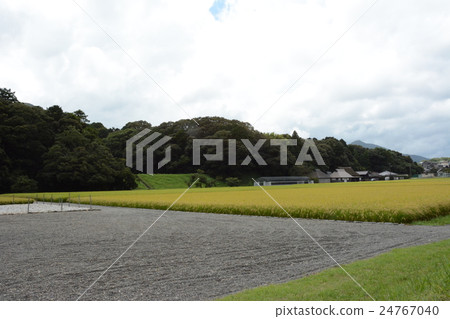 Shinjinomiya Kanda in autumn 24767040