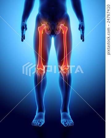3D illustration of Femur, medical concept. 24767410