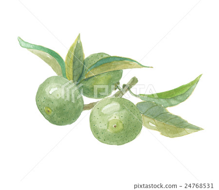 Vinegared rice balloon 24768531