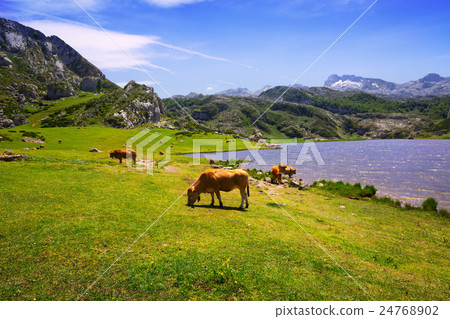 summer mountains landscape with lake and pasture 24768902