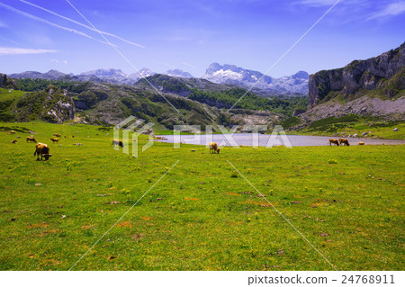 Summer mountains landscape with lake and pasture Summer mountains landscape with lake and pasture 24768911