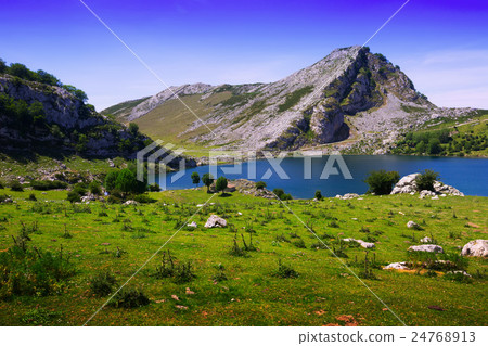 Summer landscape with lake Summer landscape with lake 24768913