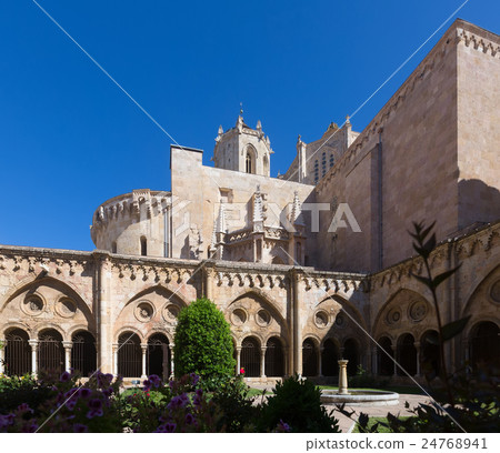 Tarragona Cathedral from gothic cloister 24768941
