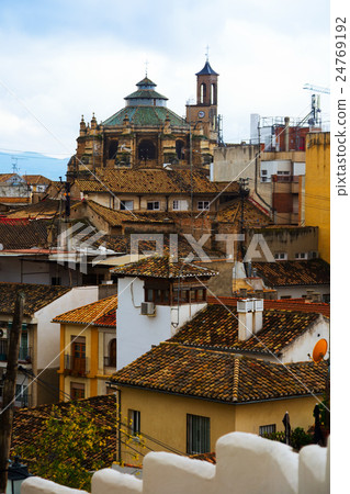 View of Granada with Cathedral 24769192