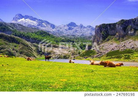 landscape with lake and pasture 24769198