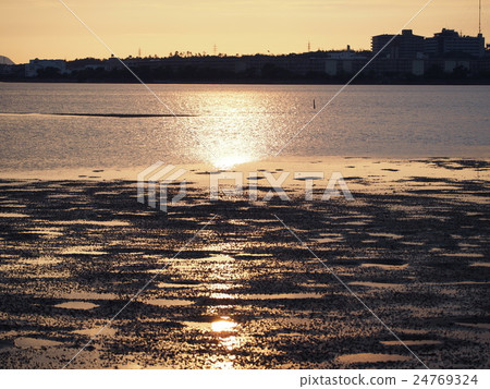 當福岡市Kazue潮汐的黃昏 當福岡市Kazue潮汐的黃昏 24769324