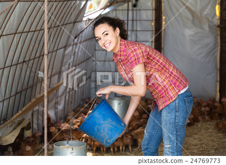 woman farmer holding bucket with chicken forage in hen house 24769773