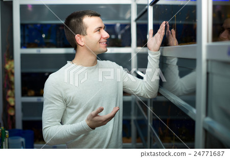 man selecting tropical fish 24771687