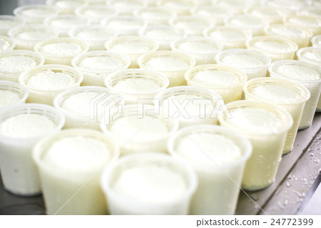 Cottage cheese in plastic package. 24772399
