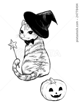 Witch cat 24778494