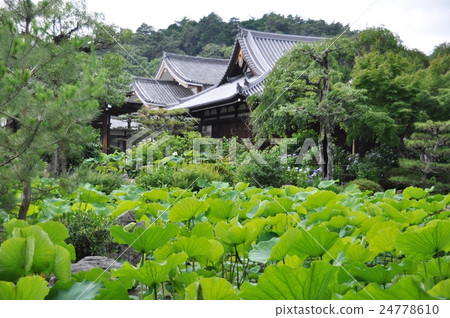 Pilgrimage and Lotus 1 of King Kong Government 24778610