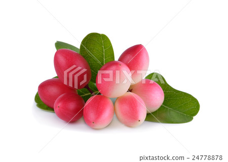 Karonda or Carunda Fruit on white background 24778878