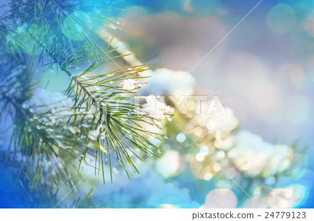 Frozen tree Frozen tree 24779123