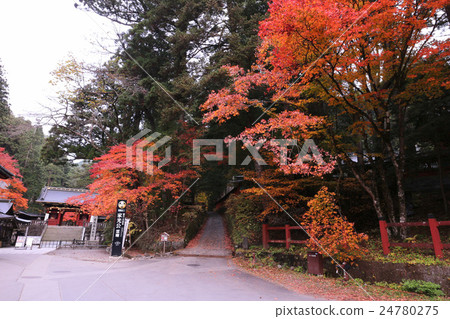 Nikkozan Rinoji Temple Oyuin and autumn leaves 24780275