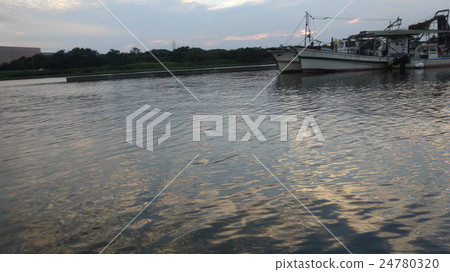 Dusk of estuary Dusk of estuary 24780320