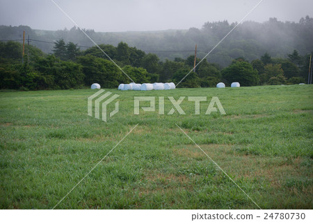 Grass roll of the plateau Grass roll of the plateau 24780730