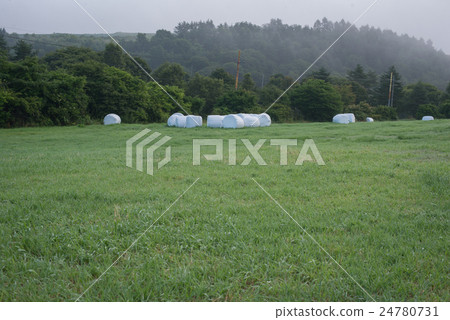 Grass roll of the plateau 24780731